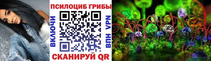 МЕГА зеркало  Сертолово  Галлюциногенные грибы Psilocybine cubensis 